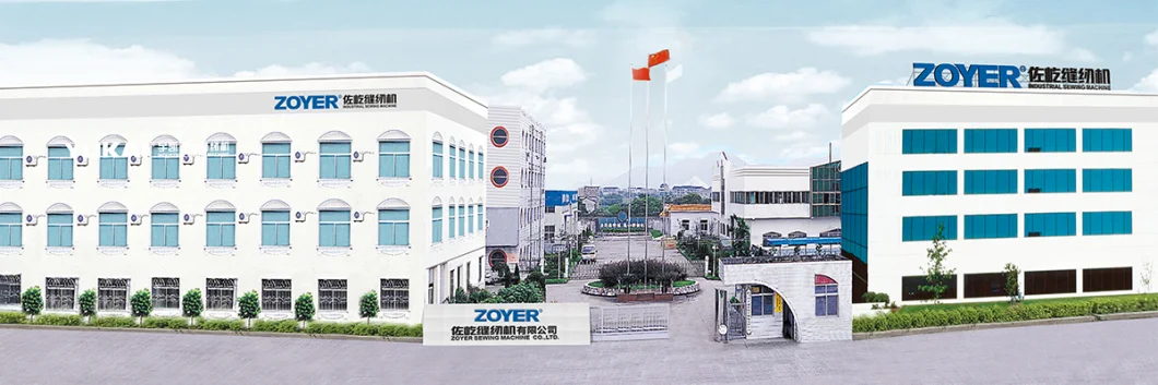 High Quality Zoyer Zy801 Leather Skiving Industrial Sewing Machine